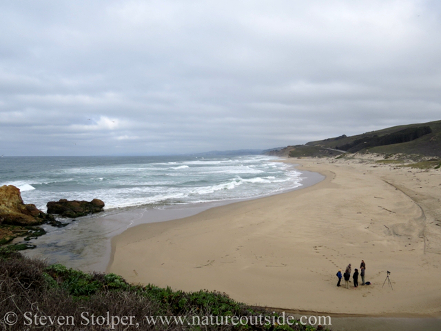 Pescadero State Beach from above. Part of our group is gathered below. (later in the day)