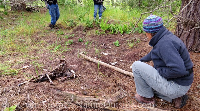 person kneeling beside mountain lion killed deer