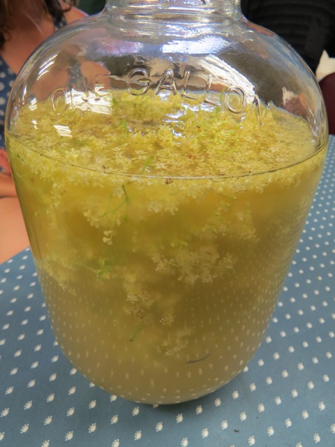 Elderflower Fizz