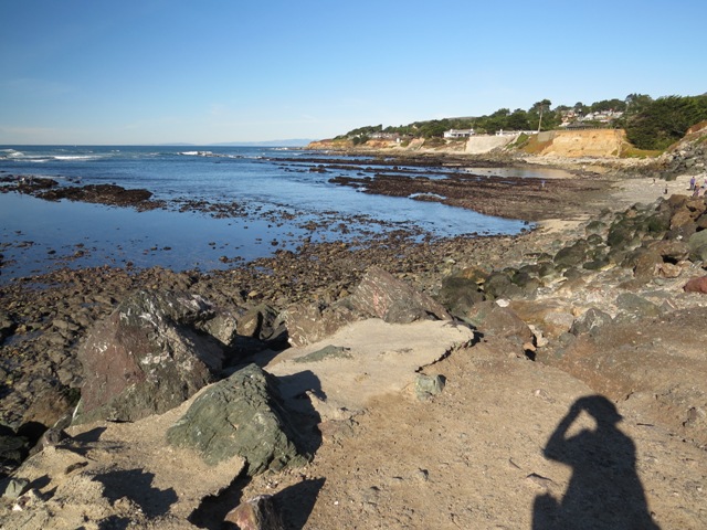 Fitzgerald Marine Reserve rocky beach