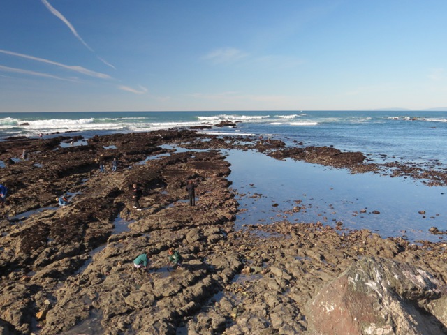 Fitzgeral Marine Reserve rocks