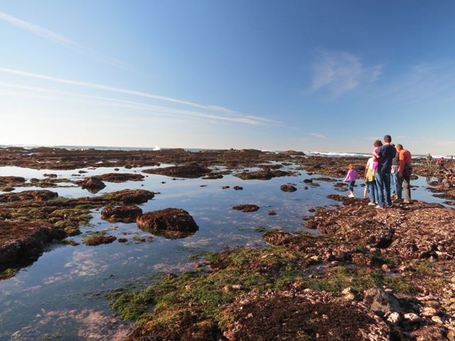 Fitzgerald Marine Reserve visitors on rocks