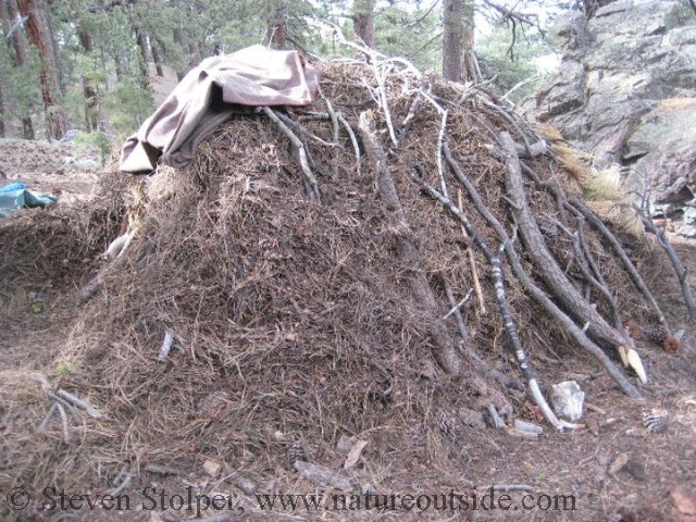 debris hut