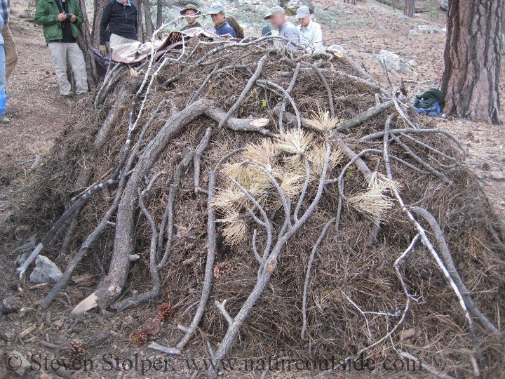 debris hut