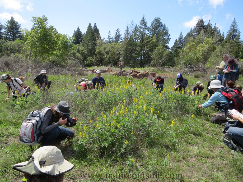 Naturalists in training