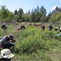 Naturalists in training