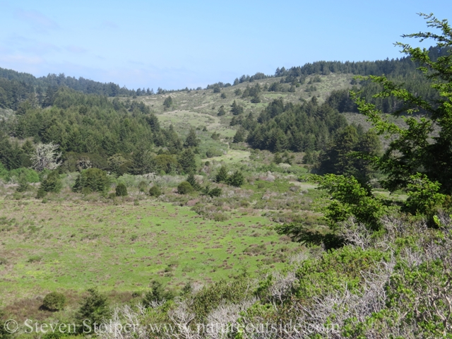 Quiroste Valley