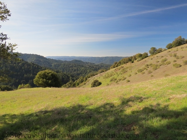 View from the ridge