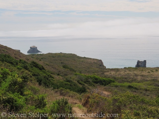 Descending toward ocean