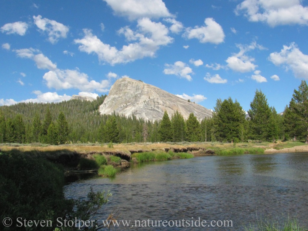 Lembert Dome as seen from Tuolumne Meadows