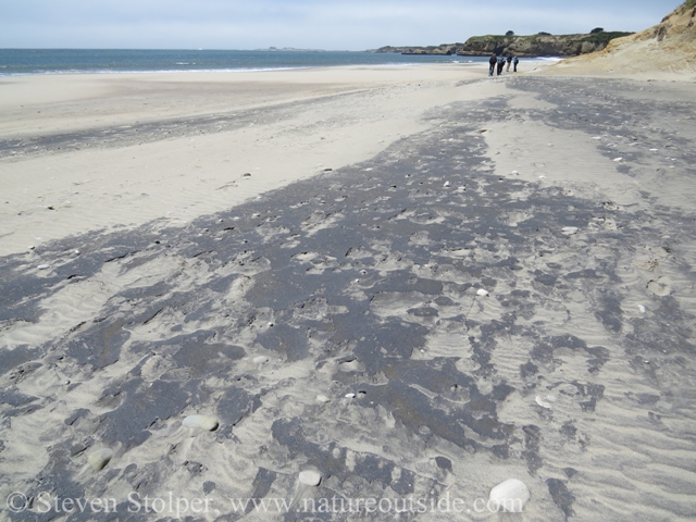 Magnetite on the beach