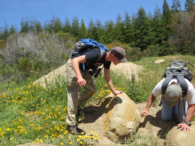 hunting for reptiles