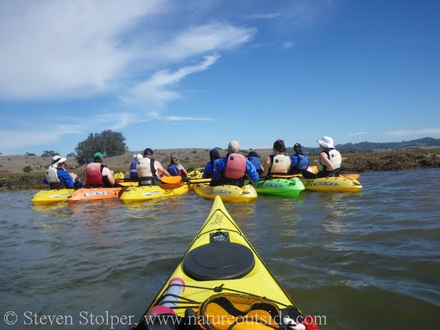 sea kayaks