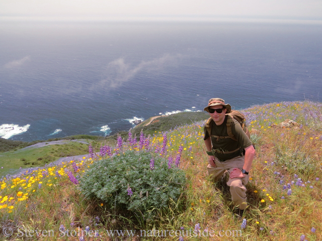 We visited amazing places. I am posing beside an enormous Lupin.