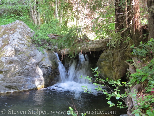 water fall