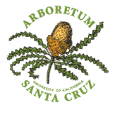 arboretum logo1