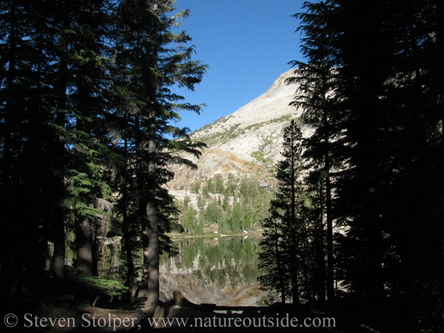 May Lake through the trees