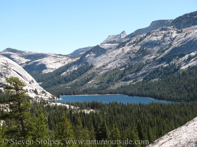 Tenaya Lake