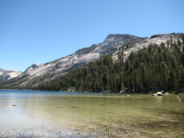 Tenaya Lake shallows