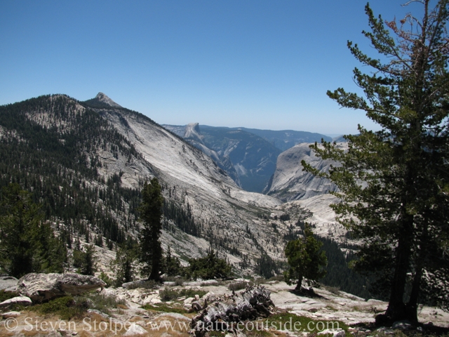 Tenaya Canyon plummets toward Yosemite Valley. Half Dome is on the left.