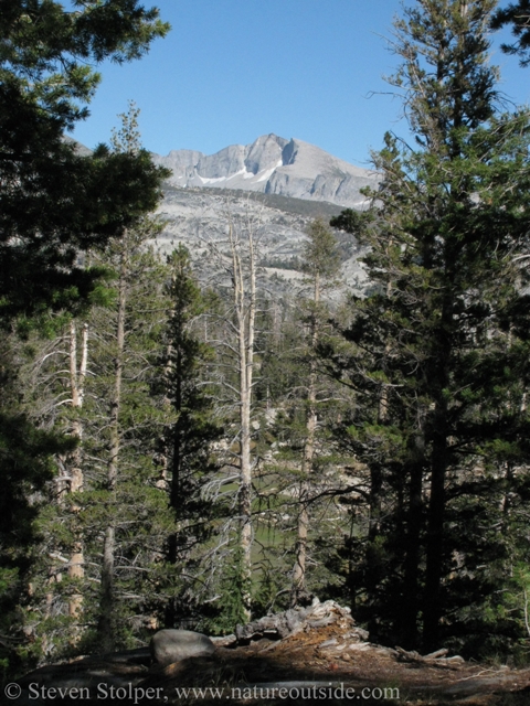 Trail to Long Meadow and Sunrise Camp