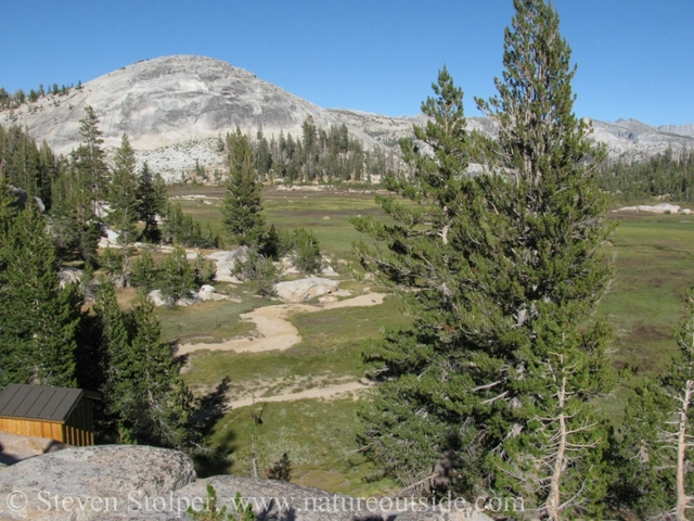 Long Meadow seen from Sunrise Camp