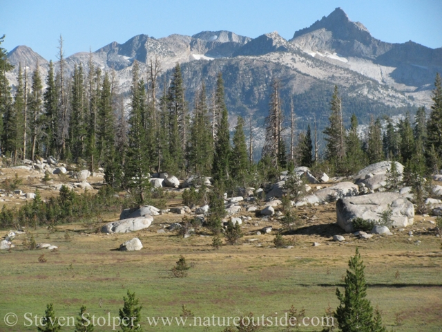 The meadow is surrounded by dramatic peaks