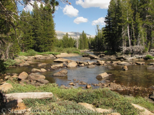 Tuolumne River