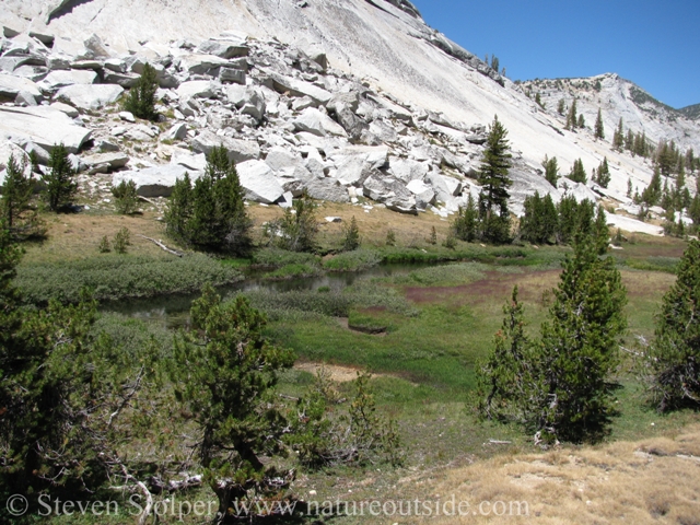 Meadow surrounded by granite domes