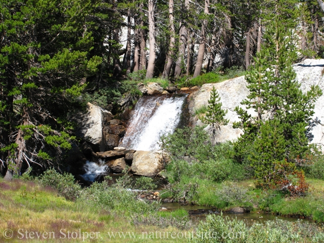 Secluded waterfall lies off-trail. I located it by sound.