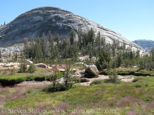 Dramatic granite domes surround the meadow