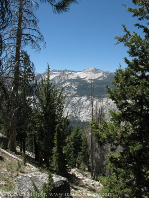 Looking across the steep slope