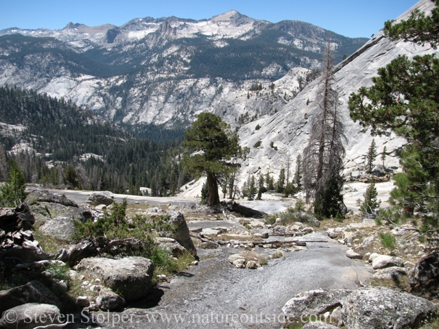 Looking back on the trail