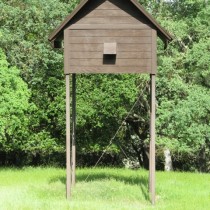 bat hotel