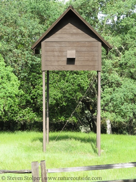 bat hotel