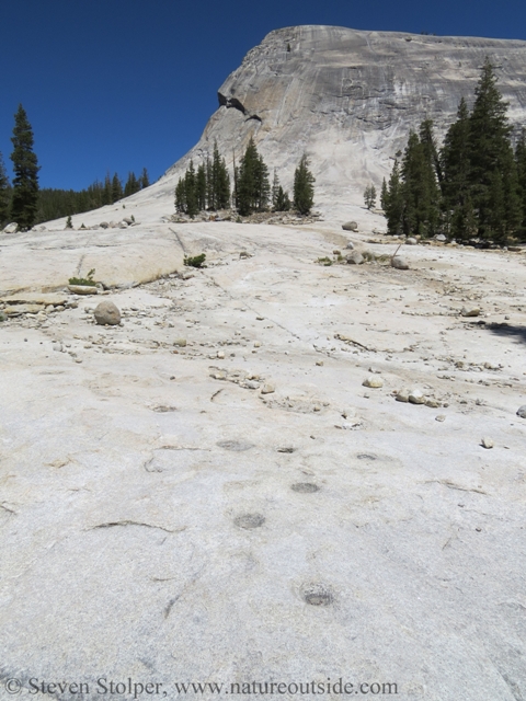 Bedrock mortars near Lembert Dome (Yosemite).