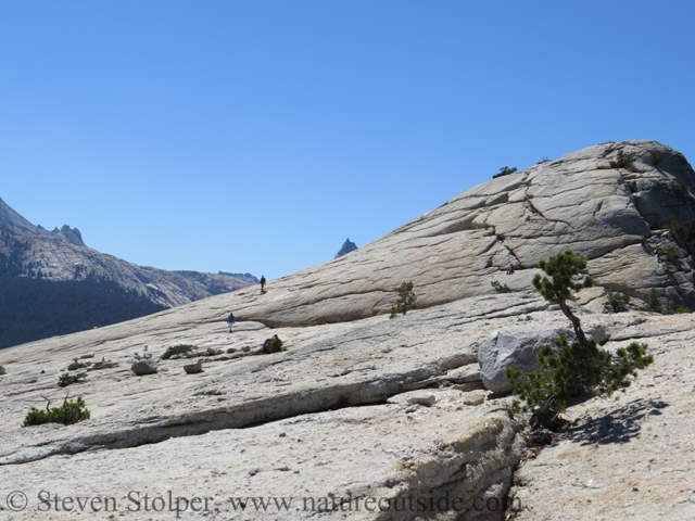 Breaking out onto the ridge