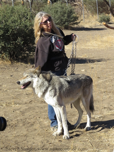 Bobbi and Harley