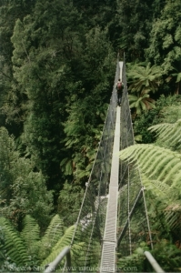 swing bridge