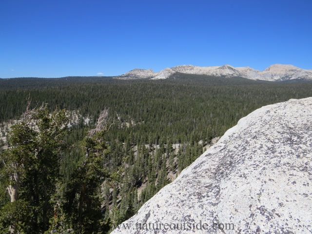 Looking around on top of Lembert Dome