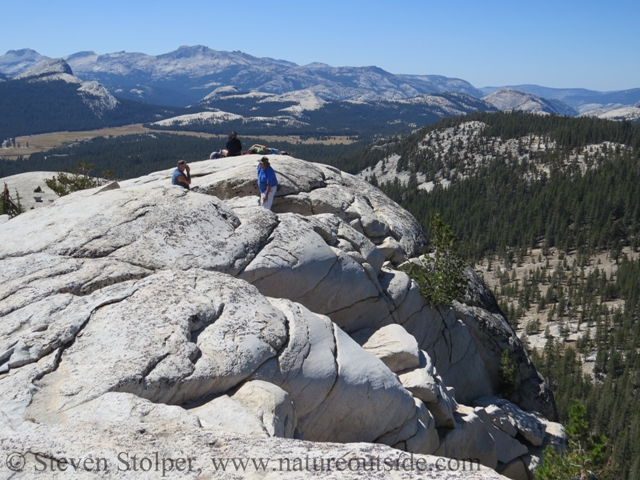 Top of Lembert Dome