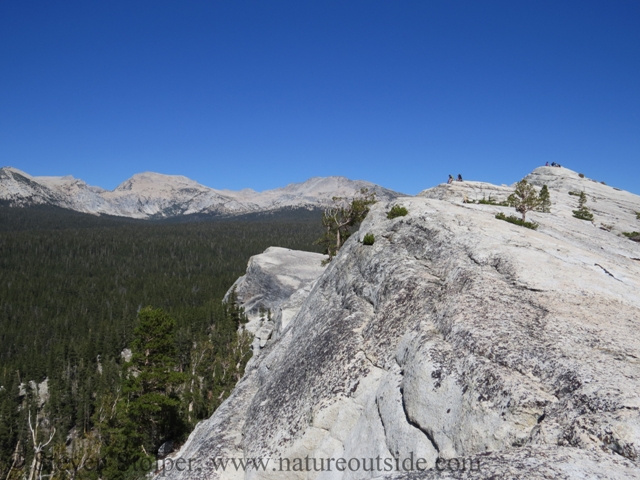 Looking back on Lembert Dome