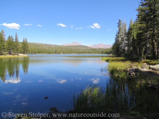 Tranquil Dog Lake