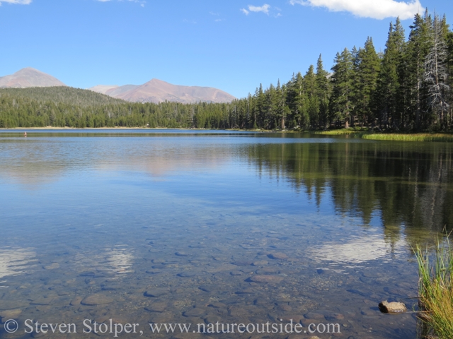 The water was wonderfully clear. Notice man in water.