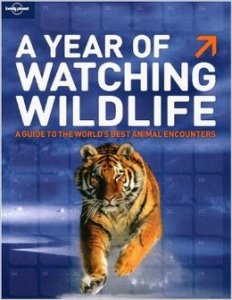 A year watching wildlife