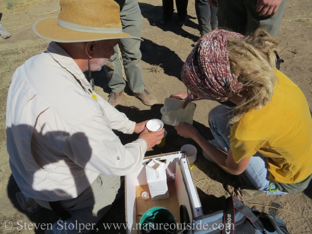 Adding water to plaster of paris mix