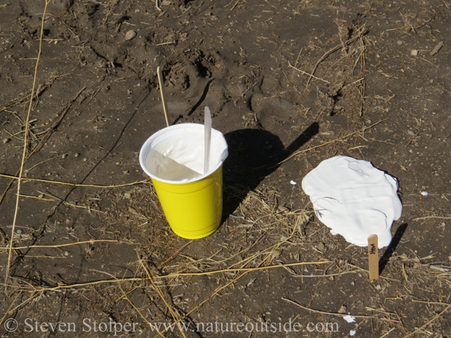 pour Plaster of Paris on track