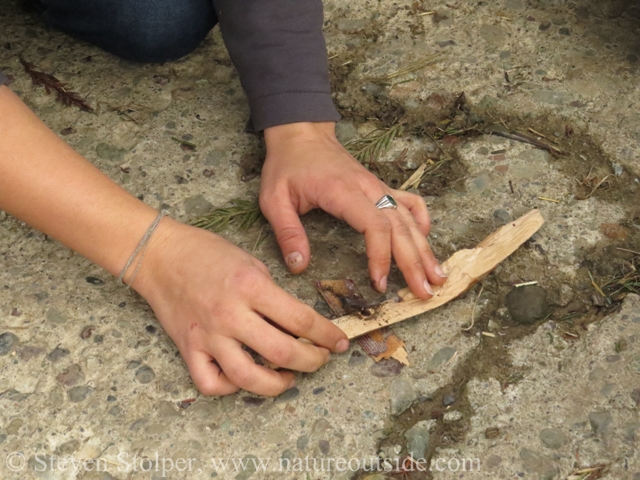 Once you have a coal, you carefully transfer it to a piece of bark.