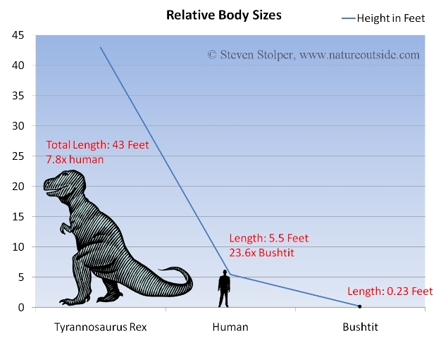 animal body size chart