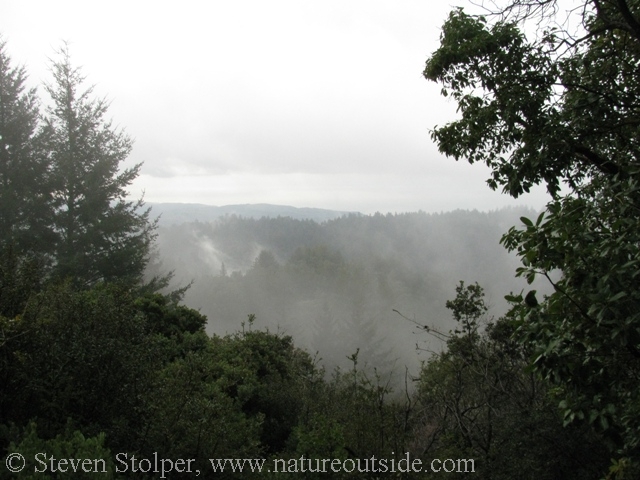 The cloud cover over the coastal range - similar to the day of the crash